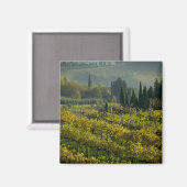 Wijngaard, Toscane, Italië Magneet (Voorkant / Achterkant)