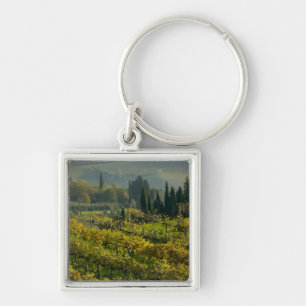 Wijngaard, Toscane, Italië Sleutelhanger