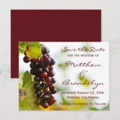 Wijngaard wijnmakerij druiven Save the Date Briefk Aankondigingskaart (Voorkant / Achterkant)