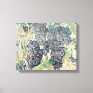 *~* Wijngaard Wijnmakerij Druivencluster AR21 Wijn Canvas Afdruk