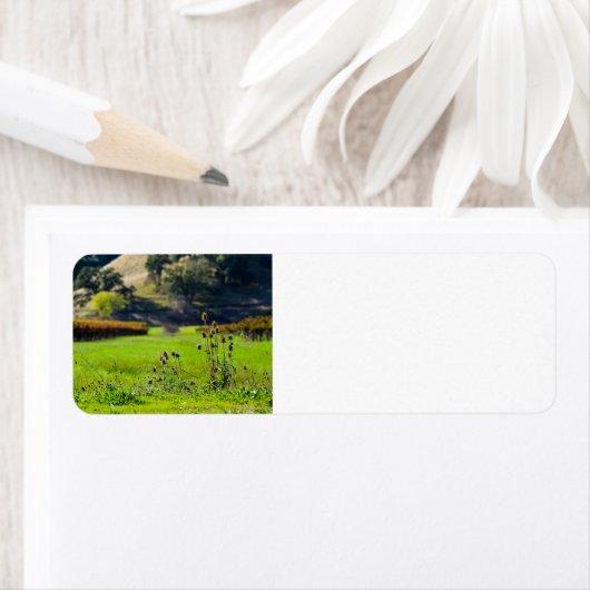 Wijngaarddistels Etiket (Insitu)