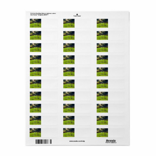 Wijngaarddistels Etiket (Full Sheet)