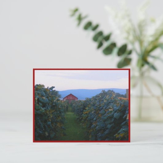 wijngaarden briefkaart (Staand voorkant)