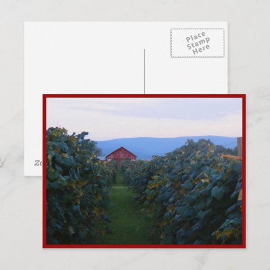 wijngaarden briefkaart (Voorkant / Achterkant)