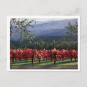 wijngaarden briefkaart (Voorkant)
