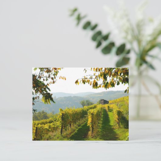 wijngaarden briefkaart (Staand voorkant)