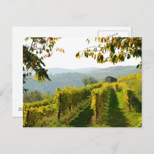 wijngaarden briefkaart (Voorkant / Achterkant)