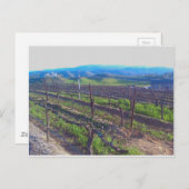 wijngaarden briefkaart (Voorkant / Achterkant)