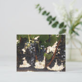 wijngaarden briefkaart (Staand voorkant)