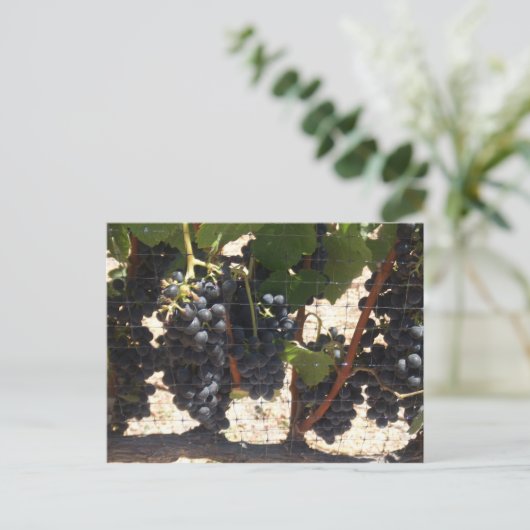 wijngaarden briefkaart (Staand voorkant)
