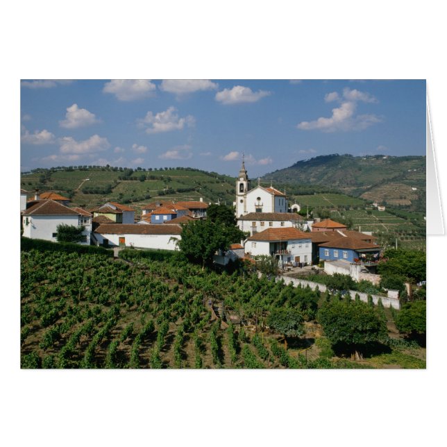 Wijngaarden, dorp San Miguel, Douro (Voorkant Horizontaal)