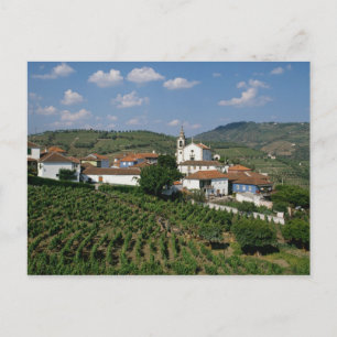 Wijngaarden, dorp San Miguel, Douro Briefkaart