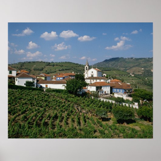 Wijngaarden, dorp San Miguel, Douro Poster (Voorkant)