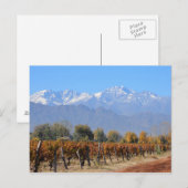 Wijngaarden in de Herfst van Mendoza, Argentinië Briefkaart (Voorkant / Achterkant)