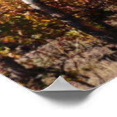 Wijngaarden in de Herfst van Mendoza, Argentinië Poster (Hoek)