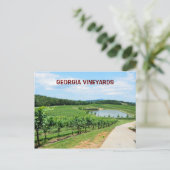 Wijngaarden in Georgië, Verenigde Staten Briefkaart (Staand voorkant)
