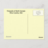 Wijngaarden in Georgië, Verenigde Staten Briefkaart (Achterkant)