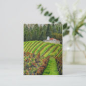 Wijngaarden in Healdsburg, CA Waterverf Post Kaart (Staand voorkant)