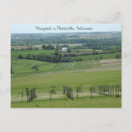 Wijngaarden in Platteville, Wisconsin ansichtkaart Briefkaart