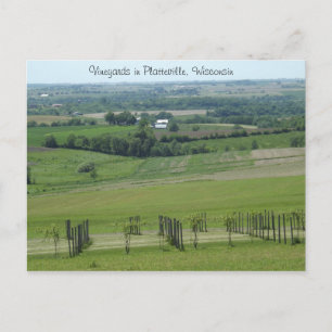 Wijngaarden in Platteville, Wisconsin ansichtkaart Briefkaart