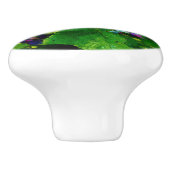 wijngaarden Keramische Knob Knop (Zijkant)