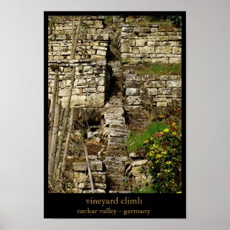 wijngaarden klimmen poster
