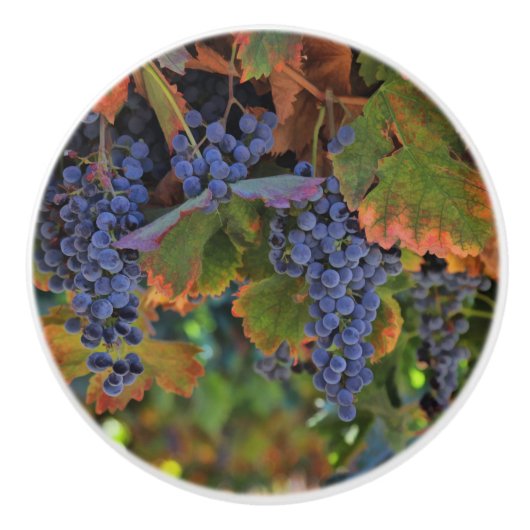 wijngaarden Landknobs en kippen Keramische Knop (Voorkant)