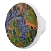 wijngaarden Landknobs en kippen Keramische Knop (Rechts)