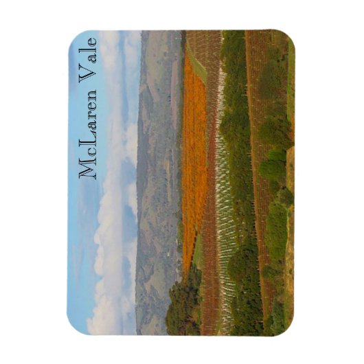 wijngaarden magneet (Verticaal)