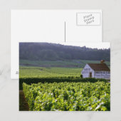Wijngaarden met als bestemming Chambertin Clos de  Briefkaart (Voorkant / Achterkant)