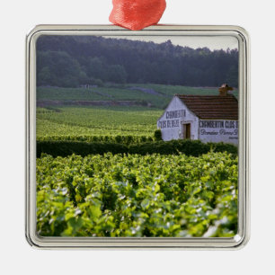 Wijngaarden met als titel "Chambertin Clos de Beze Metalen Ornament