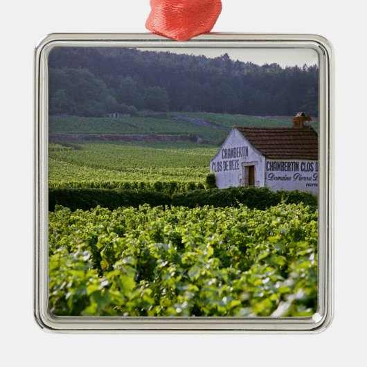 Wijngaarden met als titel "Chambertin Clos de Beze Metalen Ornament (Voorkant)