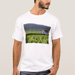 Wijngaarden met als titel "Chambertin Clos de Beze T-shirt