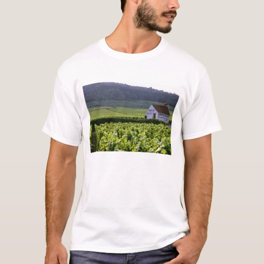 Wijngaarden met als titel "Chambertin Clos de Beze T-shirt (Voorkant)