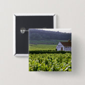 Wijngaarden met als titel "Chambertin Clos de Beze Vierkante Button 5,1 Cm (Voorkant /achterkant)