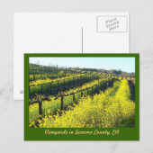 Wijngaarden met mosterdzaad Sonoma County Briefkaart (Voorkant / Achterkant)