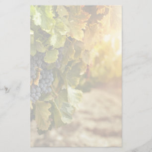 Wijngaarden op zonsondergang briefpapier