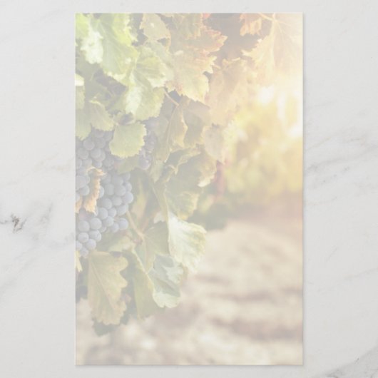 Wijngaarden op zonsondergang briefpapier (Voorkant)