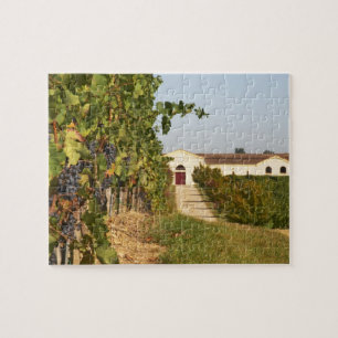 Wijngaarden, petit verdot wijnstokken en de wijnga legpuzzel