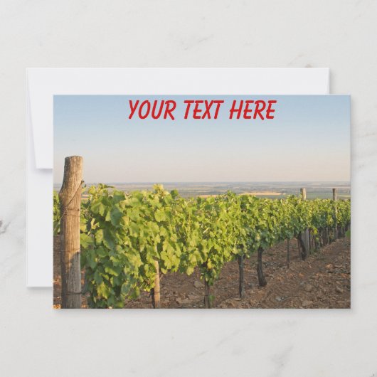 wijngaarden Tokaj, Hongaarse kaart (Voorkant)