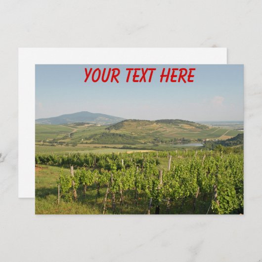  wijngaarden Tokaj, Hongaarse kaart (Voorkant / Achterkant)