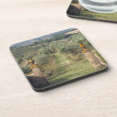 Wijngaarden, Toscane, Italië Bier Onderzetter (Linkerzijde)