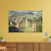 Wijngaarden, Toscane, Italië Canvas Afdruk (Insitu (Woonkamer))