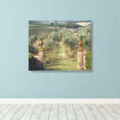 Wijngaarden, Toscane, Italië Canvas Afdruk (Insitu (Houten vloer))