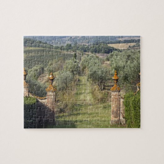 Wijngaarden, Toscane, Italië Legpuzzel (Horizontaal)