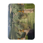 Wijngaarden, Toscane, Italië Magneet (Verticaal)