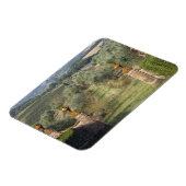 Wijngaarden, Toscane, Italië Magneet (Linkerzijde)