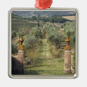 Wijngaarden, Toscane, Italië Metalen Ornament