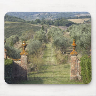 Wijngaarden, Toscane, Italië Muismat