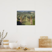 Wijngaarden, Toscane, Italië Poster (Keuken)
